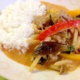 Thai☆チキンとカラフル野菜のタイ風レッドカレー